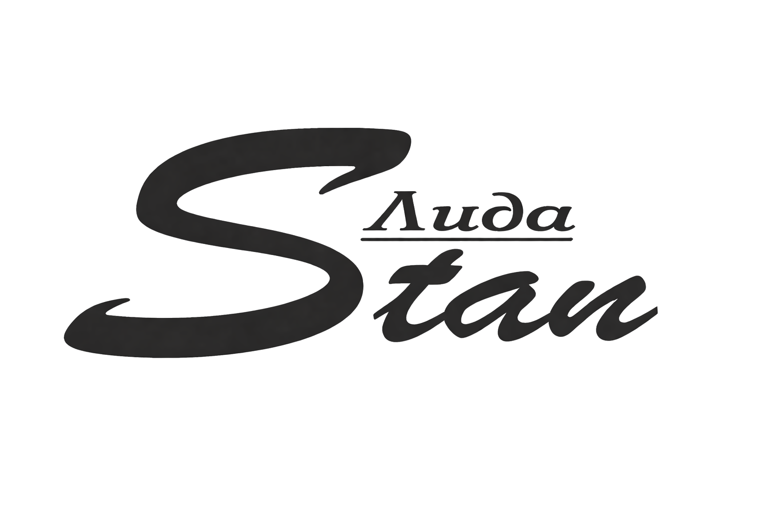 Лида Stan